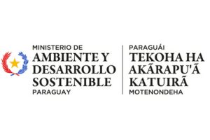 Untitled design - 2024-07-23T154757.615